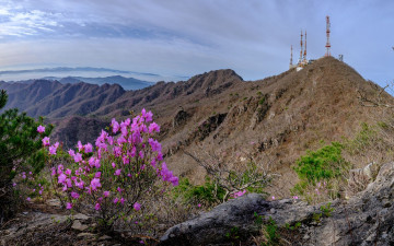팔공산의 봄 - 팔공산