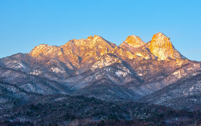 황금산