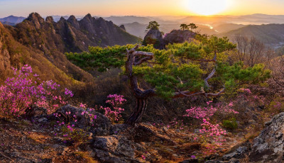 진안 구봉산의 봄 - 구봉산