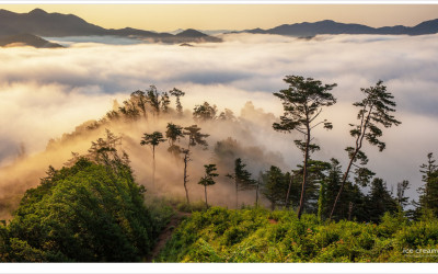 빛 드는 시간을