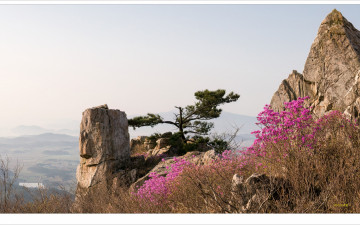 흘러간 주작의 시간