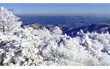 덕유의 상고대 와 주능선 ~~~