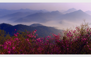봉실산에서 아름다운 봄을보다~~