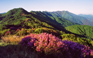 바래봉의 오월~~