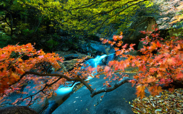 무릉계곡의 가을!
