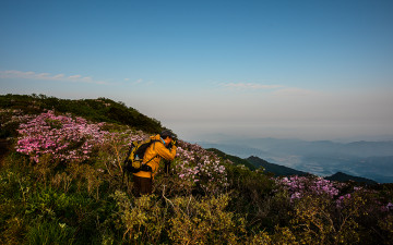 철쭉을 담는 열정의 작가님!