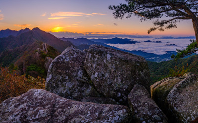 톱날능선의 가을
