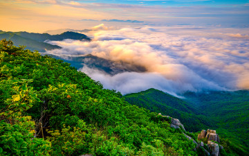 팔공산의 여름~!