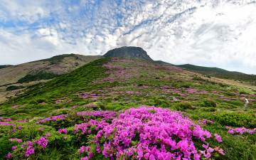 봄의 끝자락에서~~