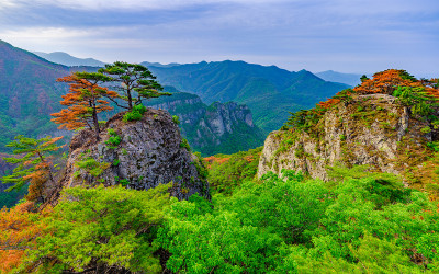 겨우살아남았는데~