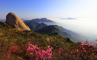 북한산의 봄