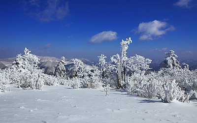 남복순-5