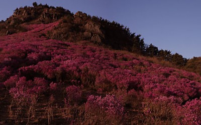 대금산.전경