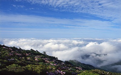 덕유산 봄