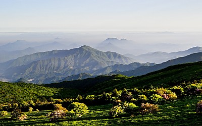 소백산의 봄