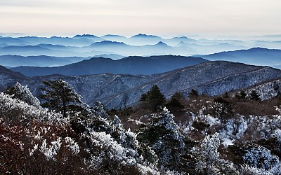 덕유의 능선