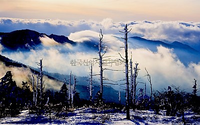 지리산雲海 1