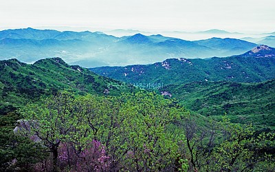 도봉산의 봄